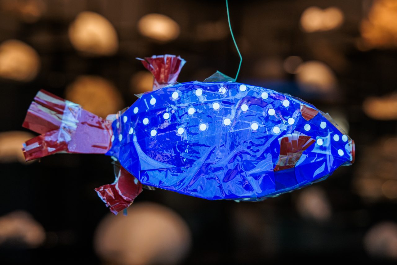Ein selbst gestalteter Kofferfisch im Humboldt Labor