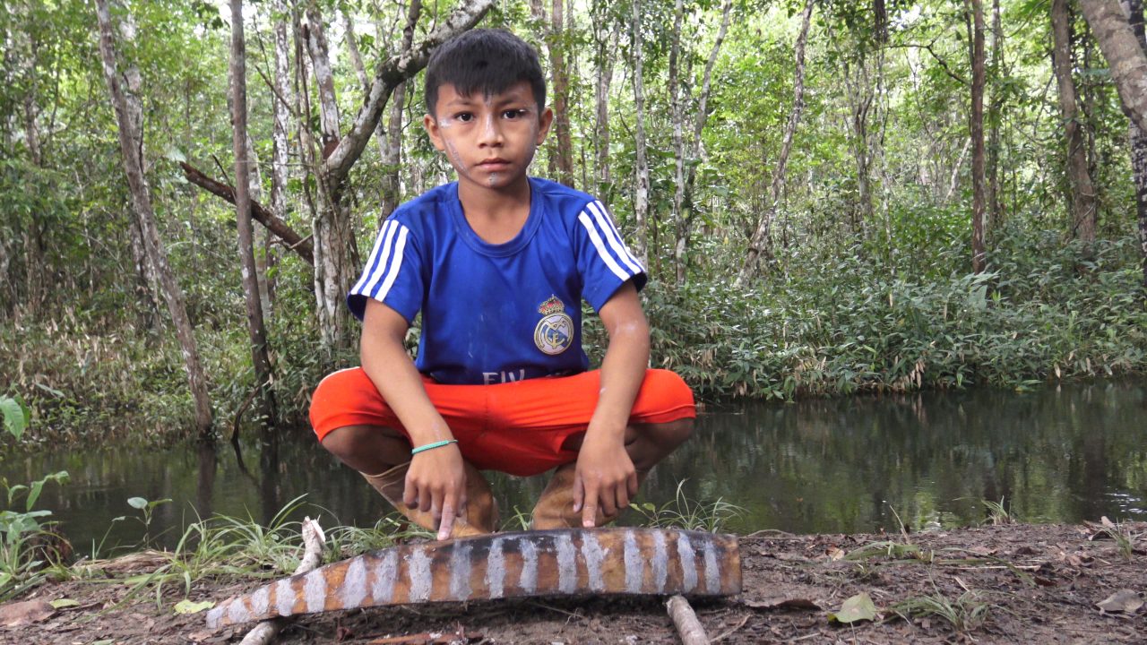 A boy in blue clothing sits in the forest in front of a log, surrounded by plants and water.